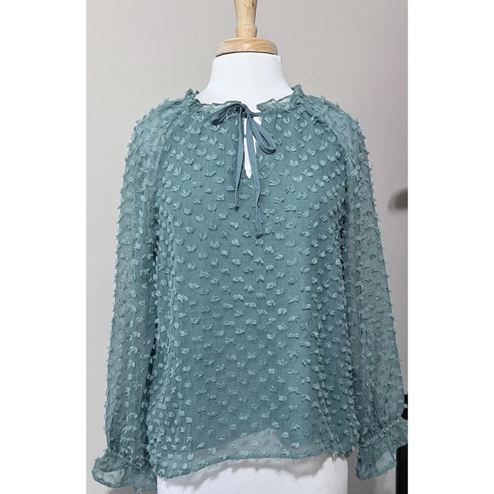 Cupio Mint Green Plumeti Swiss Dot Textured Blouse Size Large Sheer Feminine Top